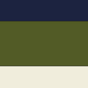 NAVY-MILK-GREEN STRIPE